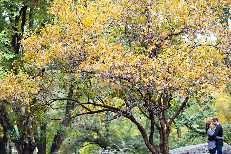 central-park-nyc-new-york-city-engagement-session (1)